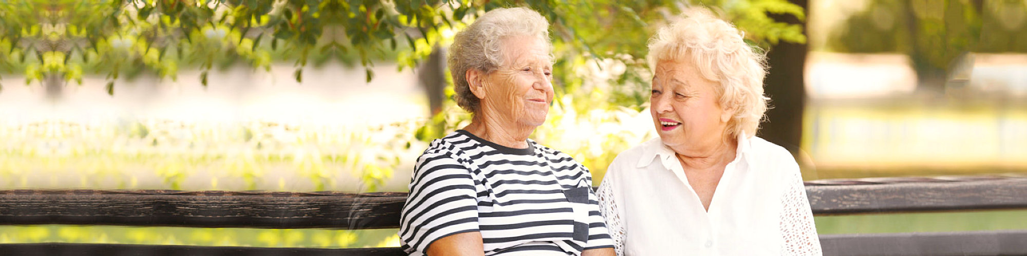 Elderly women resting on bench in park